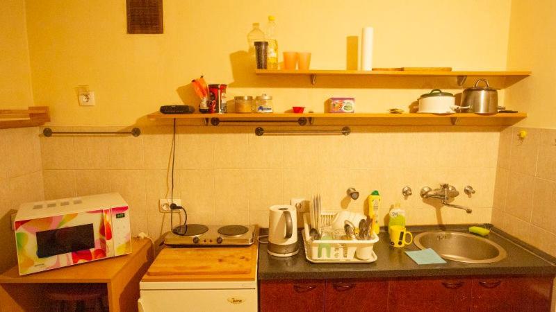 Private Cozy Room 1 With Shared Kitchen In Appartment, Downtown Belgrad Exterior foto